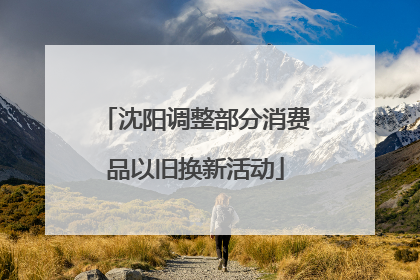 沈阳调整部分消费品以旧换新活动