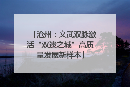 沧州：文武双脉激活“双遗之城”高质量发展新样本