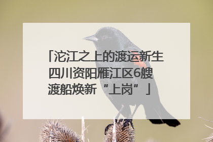 沱江之上的渡运新生 四川资阳雁江区6艘渡船焕新“上岗”