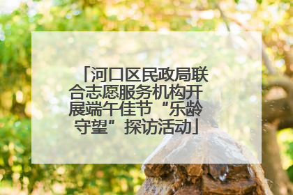 河口区民政局联合志愿服务机构开展端午佳节“乐龄守望”探访活动