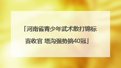 河南省青少年武术散打锦标赛收官 塔沟强势摘40冠