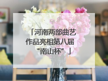 河南两部曲艺作品亮相第八届“南山杯”