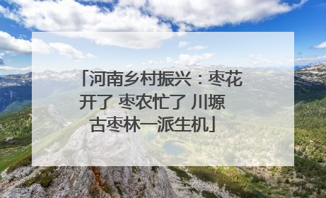 河南乡村振兴：枣花开了 枣农忙了 川塬古枣林一派生机