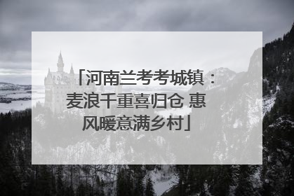 河南兰考考城镇：麦浪千重喜归仓 惠风暖意满乡村
