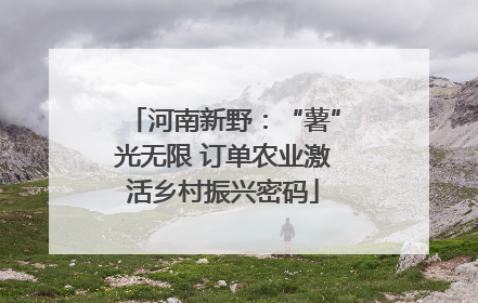 河南新野：“薯”光无限 订单农业激活乡村振兴密码