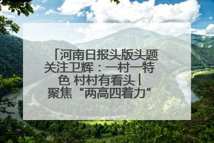 河南日报头版头题关注卫辉：一村一特色 村村有看头 ︳聚焦“两高四着力”·一“县”观察