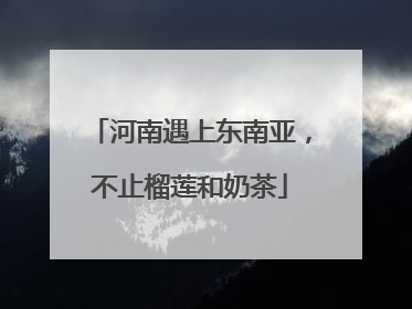 河南遇上东南亚，不止榴莲和奶茶