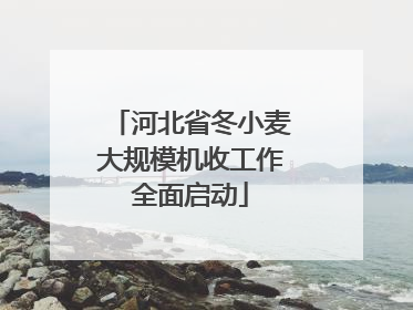 河北省冬小麦大规模机收工作全面启动