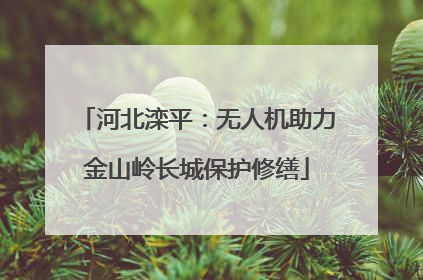 河北滦平：无人机助力金山岭长城保护修缮