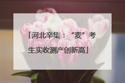 河北辛集：“麦”考生实收测产创新高