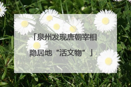 泉州发现唐朝宰相隐居地“活文物”
