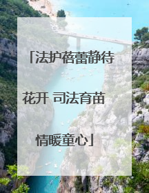 法护蓓蕾静待花开 司法育苗情暖童心
