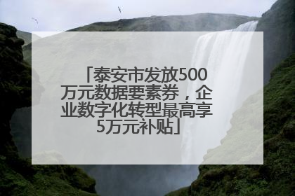 泰安市发放500万元数据要素券，企业数字化转型最高享5万元补贴
