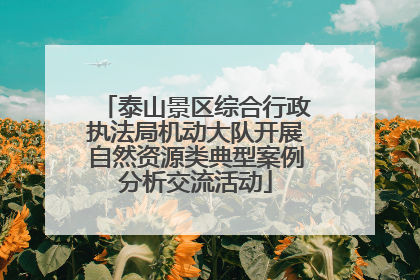 泰山景区综合行政执法局机动大队开展自然资源类典型案例分析交流活动