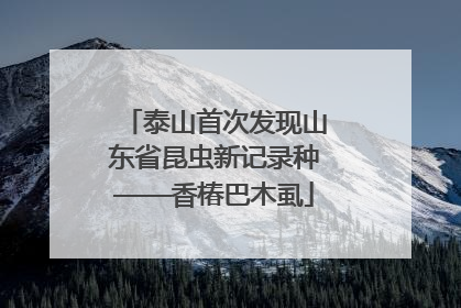 泰山首次发现山东省昆虫新记录种——香椿巴木虱