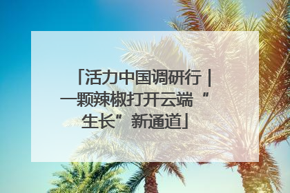活力中国调研行｜一颗辣椒打开云端“生长”新通道
