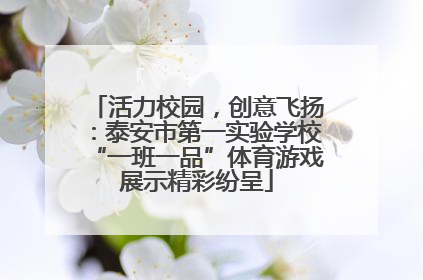 活力校园，创意飞扬：泰安市第一实验学校“一班一品”体育游戏展示精彩纷呈