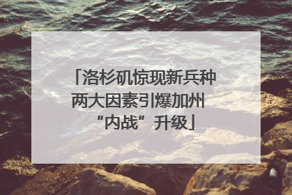洛杉矶惊现新兵种 两大因素引爆加州“内战”升级