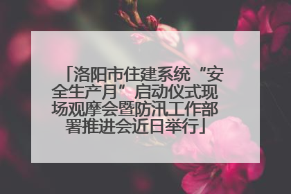洛阳市住建系统“安全生产月”启动仪式现场观摩会暨防汛工作部署推进会近日举行