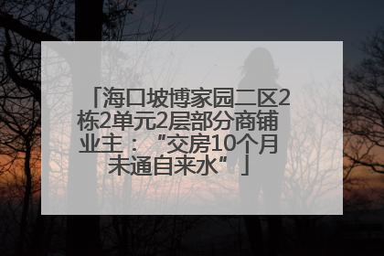 海口坡博家园二区2栋2单元2层部分商铺业主：“交房10个月未通自来水”