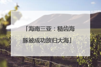 海南三亚：糙齿海豚被成功放归大海