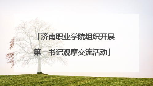 济南职业学院组织开展第一书记观摩交流活动
