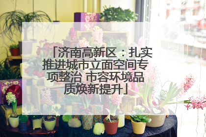济南高新区：扎实推进城市立面空间专项整治 市容环境品质焕新提升