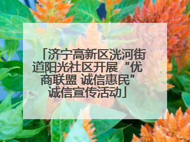 济宁高新区洸河街道阳光社区开展“优商联盟 诚信惠民”诚信宣传活动