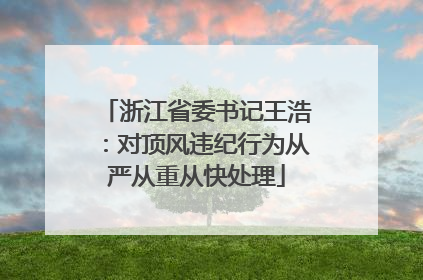 浙江省委书记王浩：对顶风违纪行为从严从重从快处理