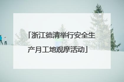 浙江德清举行安全生产月工地观摩活动