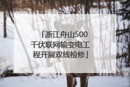 浙江舟山500千伏联网输变电工程开展双线检修