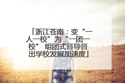 浙江苍南：变“一人一校”为“一团一校” 组团式督导督出学校发展加速度