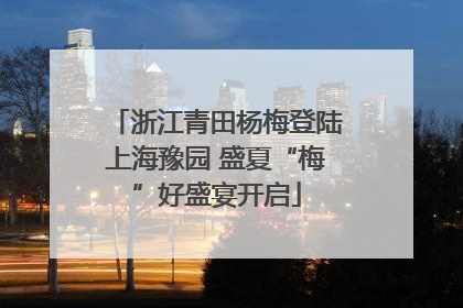 浙江青田杨梅登陆上海豫园 盛夏“梅”好盛宴开启