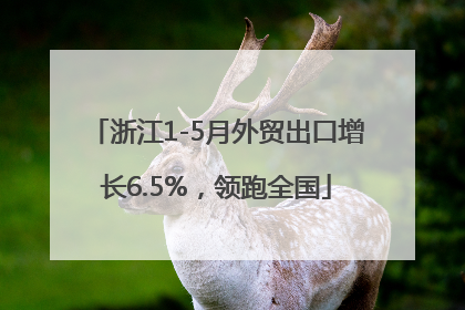 浙江1-5月外贸出口增长6.5%，领跑全国