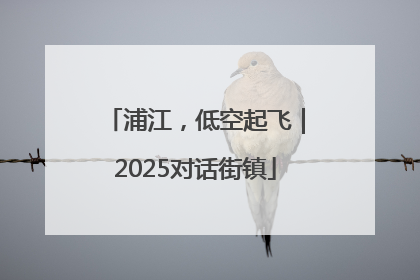 浦江，低空起飞｜2025对话街镇