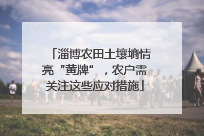 淄博农田土壤墒情亮“黄牌”，农户需关注这些应对措施