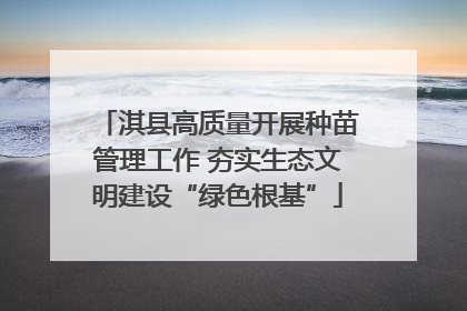 淇县高质量开展种苗管理工作 夯实生态文明建设“绿色根基”