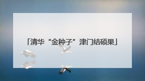 清华“金种子”津门结硕果