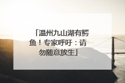 温州九山湖有鳄鱼！专家呼吁：请勿随意放生