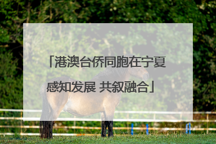 港澳台侨同胞在宁夏感知发展 共叙融合
