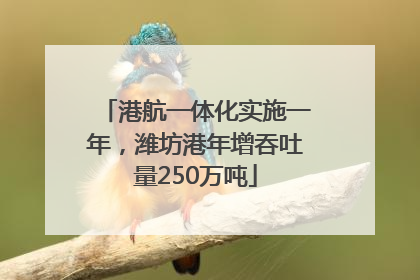 港航一体化实施一年，潍坊港年增吞吐量250万吨