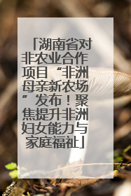 湖南省对非农业合作项目“非洲母亲新农场”发布！聚焦提升非洲妇女能力与家庭福祉