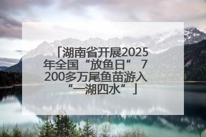 湖南省开展2025年全国“放鱼日” 7200多万尾鱼苗游入“一湖四水”