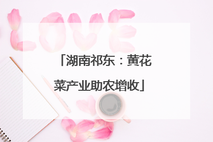 湖南祁东：黄花菜产业助农增收