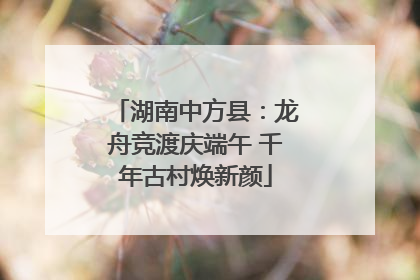 湖南中方县：龙舟竞渡庆端午 千年古村焕新颜