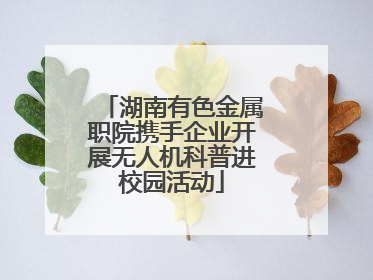 湖南有色金属职院携手企业开展无人机科普进校园活动