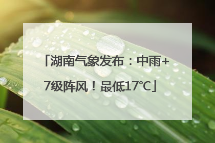 湖南气象发布：中雨+7级阵风！最低17℃