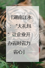 湖南江永：“大礼包”让企业开办省时省力省心