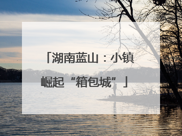 湖南蓝山：小镇崛起“箱包城”