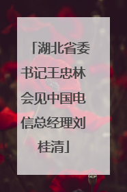 湖北省委书记王忠林会见中国电信总经理刘桂清